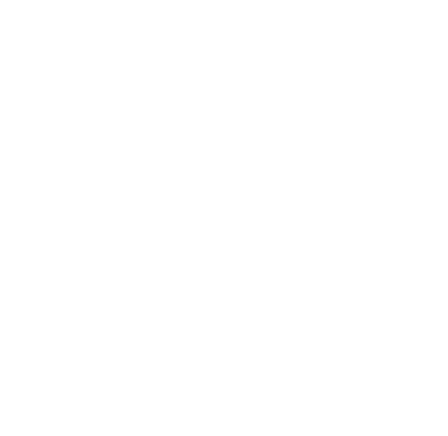 logo bodegas bocanegra